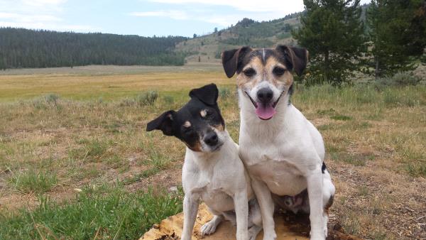 /Images/uploads/Humane Society of Utah/HSUCalendar/entries/1651thumb.jpg
